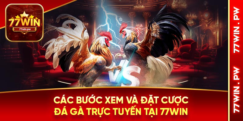 Các bước xem và đặt cược đá gà trực tuyến tại 77WIN