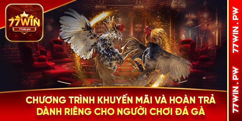 Chương trình khuyến mãi và hoàn trả dành riêng cho người chơi đá gà