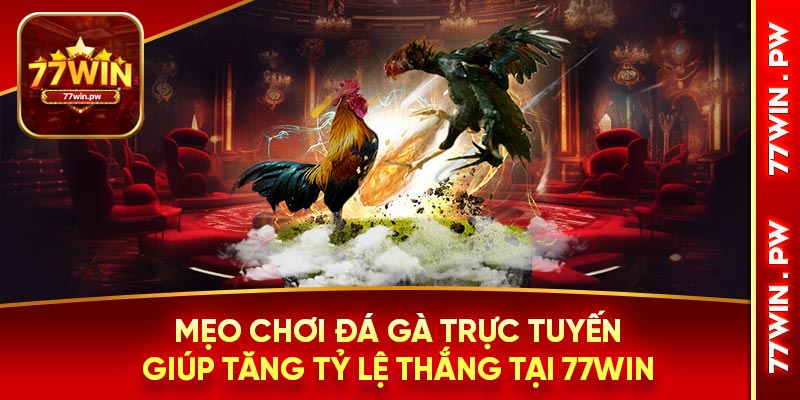 Mẹo chơi đá gà trực tuyến giúp tăng tỷ lệ thắng tại 77WIN