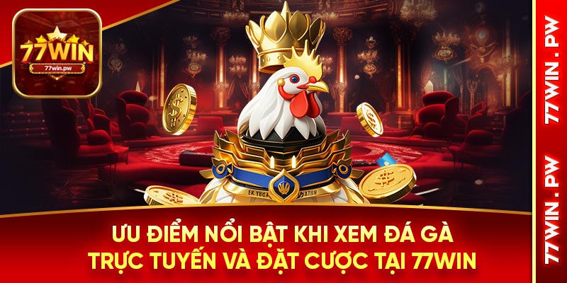 Ưu điểm nổi bật khi xem đá gà trực tuyến và đặt cược tại 77WIN