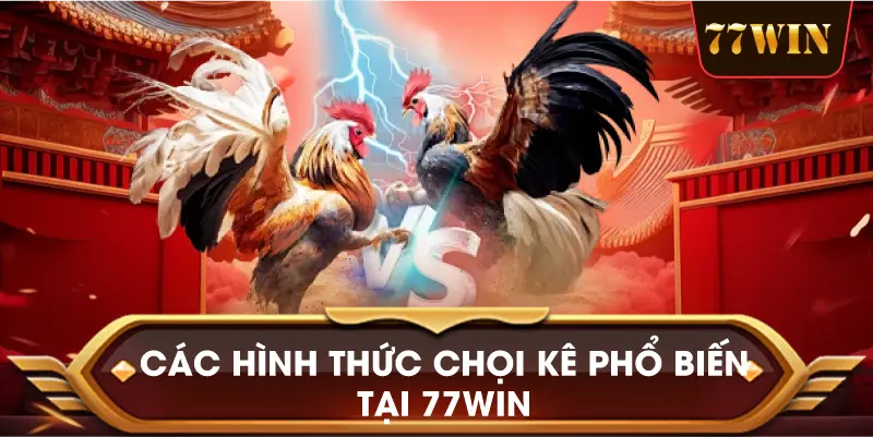 Các Hình Thức Chọi Kê Phổ Biến Tại 77win