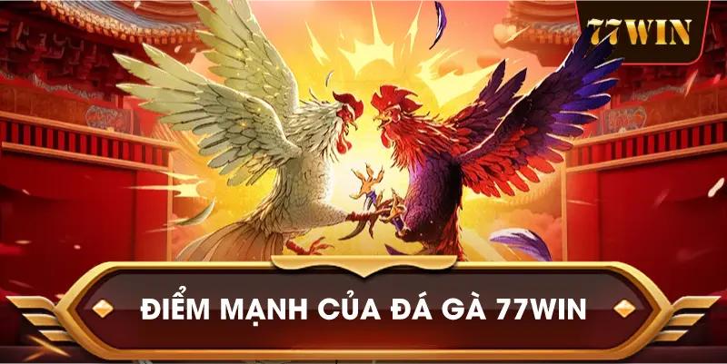 Điểm Mạnh Của Đá Gà 77win